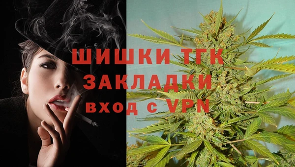 сатива Бугульма
