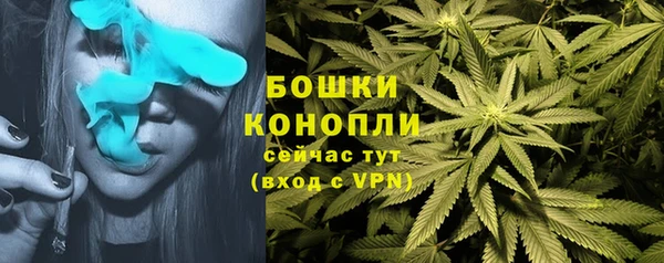 сатива Бугульма
