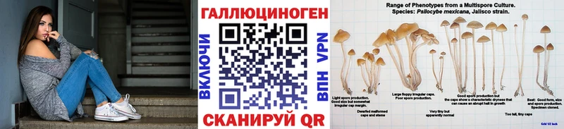 Псилоцибиновые грибы Psilocybine cubensis  KRAKEN сайт  Называевск 